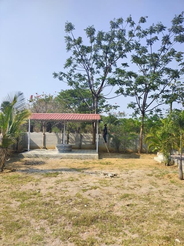 Farm House For Rent - Hyedrabad