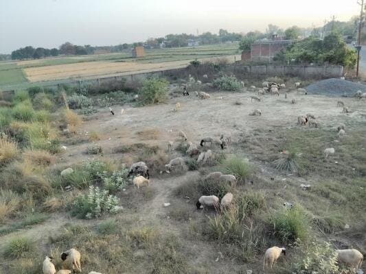 Spacious Land for Lease in Sahson, Allahabad | High Growth Location
