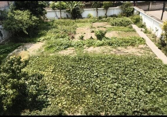 Long-Term Land Lease Opportunity in Mumfordganj, Allahabad