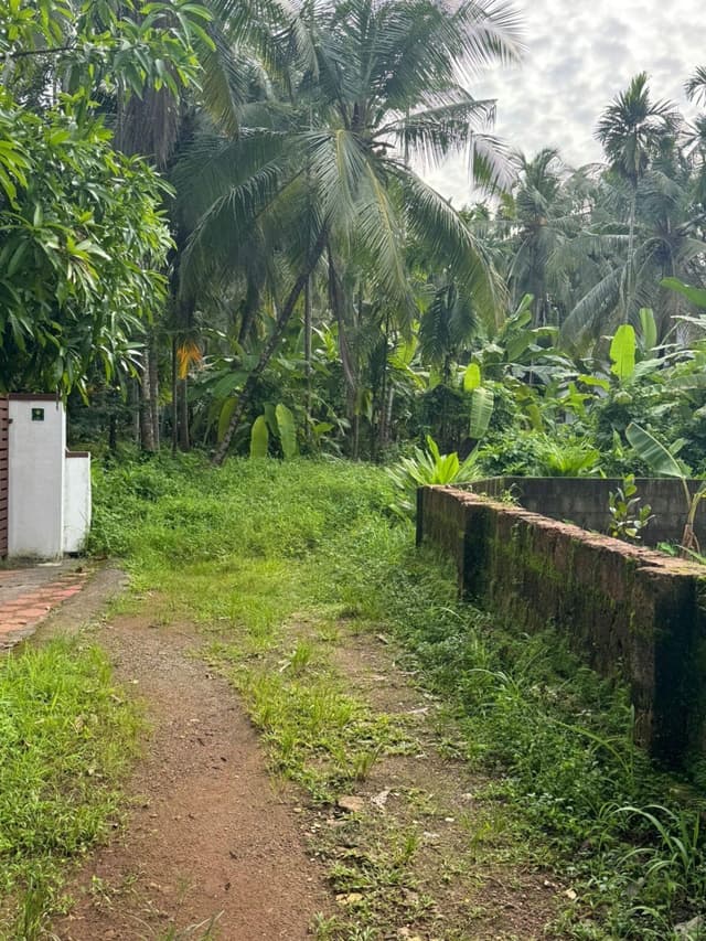Commercial Plot For Rent - Kozhikode
